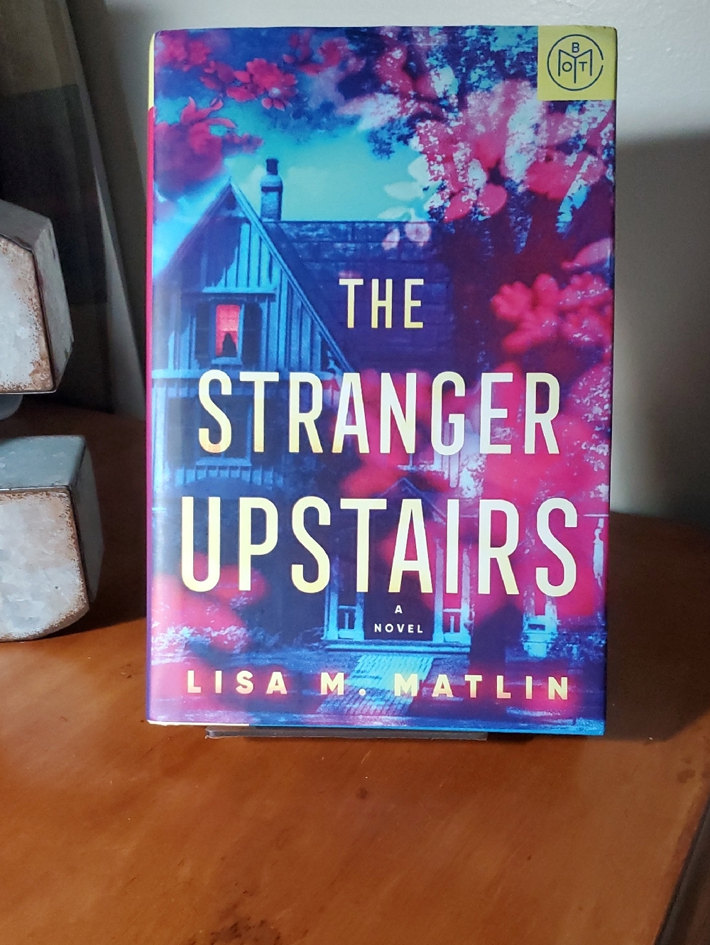 The Stranger Upstairs by Lisa M. Matlin - Vibrant Pink & Blue Hardcover (10)